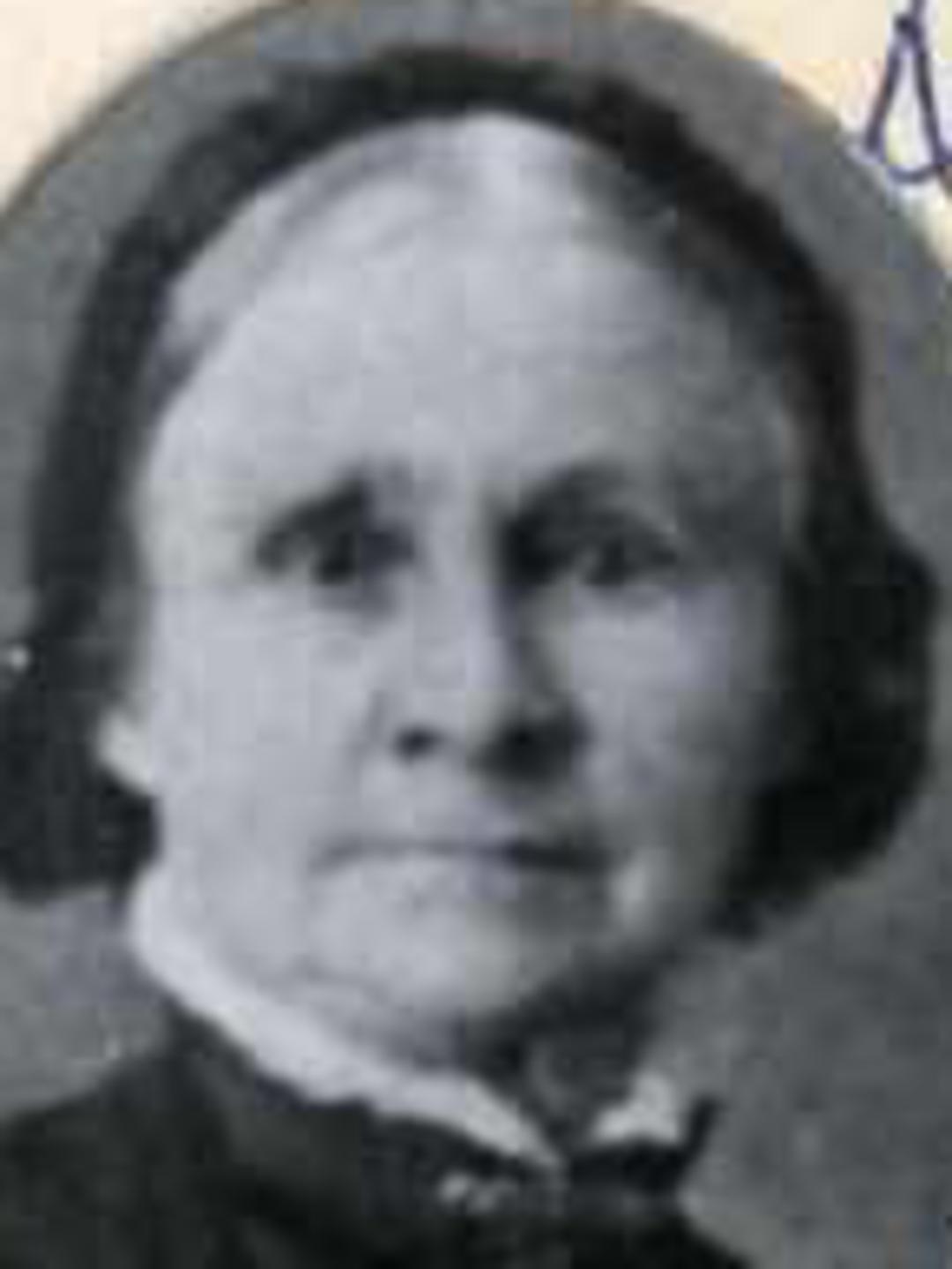 Sarah Hamer (1816 - 1893) Profile